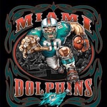TS022 Miami Dolphins